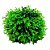 BUCHINHO ARTIFICIAL VERDE CLARO PEQUENO 20CM - Imagem 1