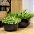 BACIA VIETNAMITA CERÂMICA IMPORTADA ITÁLIA EXTRA GRANDE PRETA D63CM X A27CM - Imagem 3