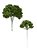 PICK VERDE COM 6UN. 20CM IMPORTADO - Imagem 1