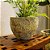 VASO VIETNAMITA CERÂMICA IMPORTADO TÓQUIO ATLANTIS ORGANIC PP D26CM X A20CM - Imagem 3