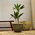 VASO VIETNAMITA CERÂMICA IMPORTADO TÓQUIO ATLANTIS ORGANIC MÉDIO D42CM X A33CM - Imagem 3