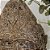 MÁSCARA DECORATIVA SENUFO TRIBAL EM MADEIRA L47CM X A70CM - Imagem 4