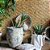 VASO VIETNAMITA CERÂMICA IMPORTADO MOSCOU ATLANTIS ORGANIC PEQUENO D46CM X A54CM - Imagem 3
