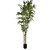 ÁRVORE BAMBU MOSSO 220CM - Imagem 1
