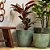 VASO VIETNAMITA CERÂMICA IMPORTADO NASSAU MOSS GREEN MÉDIO D46CMX A39CM - Imagem 3