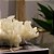 CORAL DECORATIVO BEGE EM RESINA COLEÇÃO OCEAN & ART  L13CM X A08CM - Imagem 3