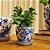 CACHEPOT PORCELANA AZUL E BRANCA FLORA IMPERIAL PP D13CM X A12CM - Imagem 3