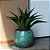 ÁRVORE AGAVE PERMANENTE L12CM X A57CM X P12CM - Imagem 2