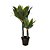 ÁRVORE AGAVE PERMANENTE L18CM X A96CM X P18CM - Imagem 1
