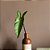 FOLHAGEM ALOCASIA TOQUE REAL L12CM X A60CM X P12CM - Imagem 2
