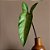FOLHAGEM ALOCASIA TOQUE REAL L12CM X A60CM X P12CM - Imagem 3