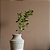 HASTE FOLHAGEM L18CM X A86CM X P18CM - Imagem 2