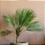 ÁRVORE CYCAS PALMEIRA PERMANENTE L36CM X A87CM X P36CM - Imagem 3