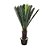 ÁRVORE CYCAS REVOLUTA PERMANENTE L44CM X A93CM X P44CM - Imagem 1