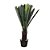 ÁRVORE CYCAS REVOLUTA PERMANENTE L44CM X A93CM X P44CM - Imagem 2