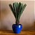 ÁRVORE CYCAS REVOLUTA PERMANENTE L44CM X A93CM X P44CM - Imagem 3