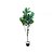 ÁRVORE FICUS ELASTICA PERMANENTE L60CM X A165CM X P60CM - Imagem 1