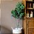 ÁRVORE FICUS ELASTICA PERMANENTE L60CM X A165CM X P60CM - Imagem 2
