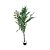 ÁRVORE FICUS PERMANENTE TOQUE REAL L84CM X A185CM X P84CM - Imagem 1