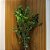 ÁRVORE FICUS PERMANENTE TOQUE REAL L84CM X A185CM X P84CM - Imagem 4
