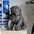 ESCULTURA CÃO DE FÓ FÊMEA EM RESINA IMPORTADA L13 CM X A22CM X P21CM - Imagem 5