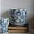 CACHEPOT PORCELANA AZUL BRANCA E VERDE WILD EDITION BOTANIC MÉDIO D20CM X A20CM - Imagem 3