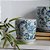 CACHEPOT PORCELANA AZUL BRANCA E VERDE WILD EDITION BOTANIC PEQUENO D15CM X A15CM - Imagem 3
