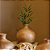 VASO EM MADEIRA WOODEN GRANDE IMPORTADO D18CM X A20CM - Imagem 3