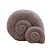 PECA DECORATIVA CONCHAS EM RESINA CINZA - Imagem 1