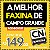 A Melhor Faxina de Campo Grande MS a partir de R$149 - Imagem 1