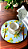 Capinha de sousplat limão siciliano - Imagem 1