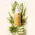 Desodorante Natural com Extratos de Melaleuca e Aloe Vera Cidreira 120mL - Imagem 3