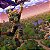 Fortnite Pacote Vão Sombrio Xbox Código Digital - Imagem 4
