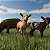 Farming Simulator 25 - PC Código Digital - Imagem 3