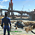 Fallout 4 Game Of The Year Edition - PC Código Digital - Imagem 3