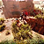 Welcome to ParadiZe - Supporter Edition PC - Código Digital - Imagem 2