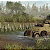 Men of War II – Deluxe Edition PC - Código Digital - Imagem 3