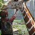 The Last of Us Part I PC - Código Digital - Imagem 2