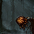 Elden Ring Shadow of the Erdtree Deluxe Edition PC - Código Digital - Imagem 2