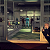 Hitman: Absolution PC - Código Digital - Imagem 6