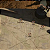 Partisans 1941 – Back into Battle PC - Código Digital - Imagem 4