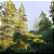 Hunting Simulator 2 - Bear Hunter Edition PC - Código Digital - Imagem 3