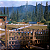 Hunting Simulator 2 - Bear Hunter Edition PC - Código Digital - Imagem 4