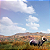 Hunting Simulator 2 - Bear Hunter Edition PC - Código Digital - Imagem 6
