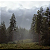 Hunting Simulator 2 - Bear Hunter Edition PC - Código Digital - Imagem 5