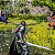 Final Fantasy XVI - PS5 Código Digital - Imagem 2