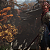Black Myth: Wukong PS5 - Código Digital - Imagem 6