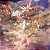 Pathfinder: Wrath of the Righteous - Enhanced Edition PS4 & PS5 - Código Digital - Imagem 5