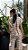 Colete Tally Jacquard Cinza - Imagem 3
