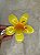 Hair Clip | Flor - Imagem 4